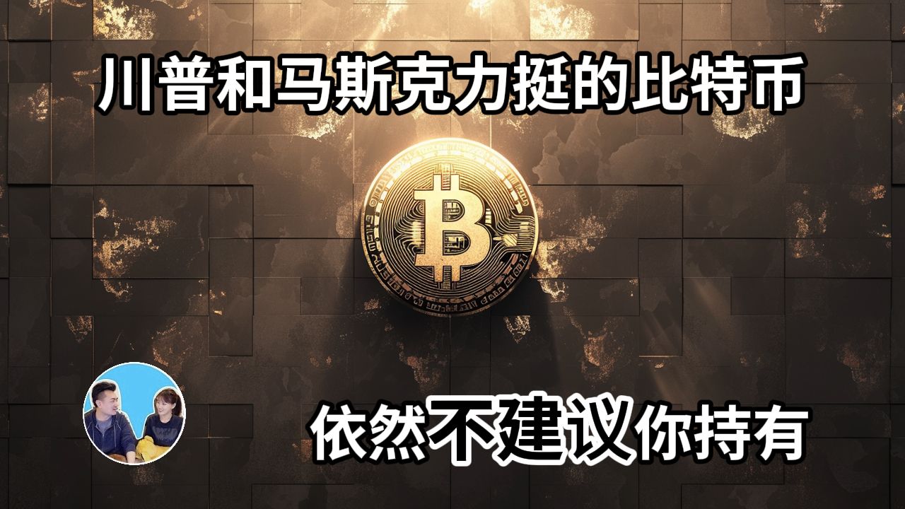 我为什么不持有比特币，而且你也不该持有比特币的真正原因「无片尾会员影片」2025-01