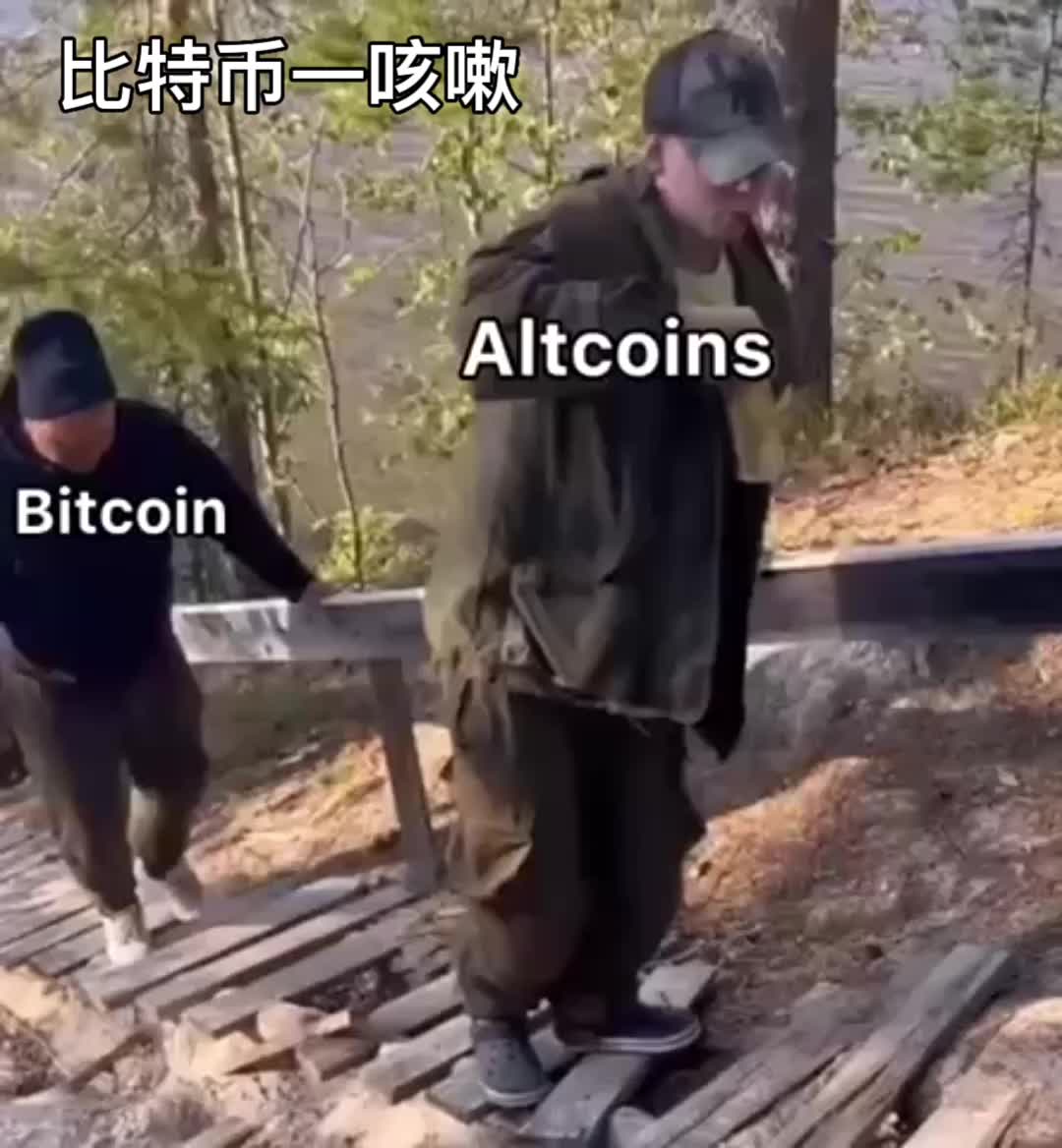 比特币打了个喷嚏一回头山寨币尿了一地